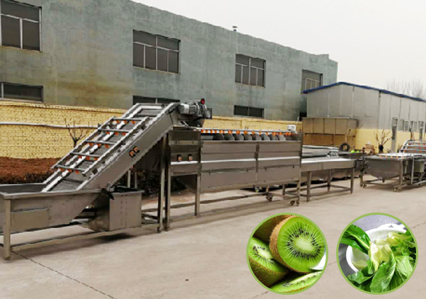 果蔬加工生產(chǎn)線—Fruit and vegetable processing line